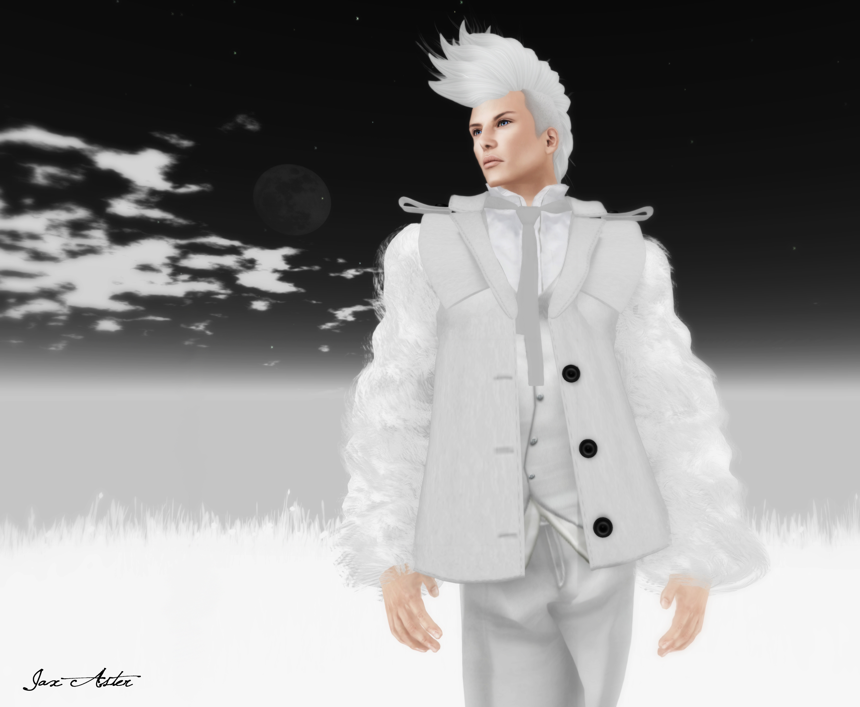 winter wonderland outfit male
